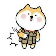 瑞典小肉丸™