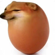 地蛋