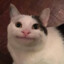 PotatoGamer0102