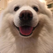 头油我只用斯丹康