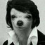 ELVIS 2