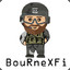 BouRneXFi