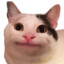 SkyDarck64