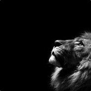 大哥大哥别杀我