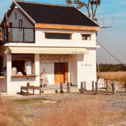 没交电费的萤火虫