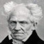 Schopenhauer&#039;s Will of Despair