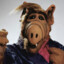 Glorious Alf