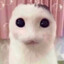 worm