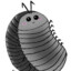 pillbug