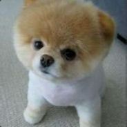 CSGO周年庆#黑与白