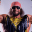 Randy Savage