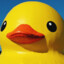 GooseMisuse