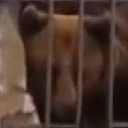 анальный катарсиc