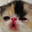 ⌜ snorp ⌝