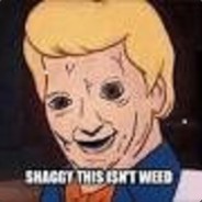 SHAGGY