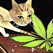 CAT WITH THE BLUNT avatar