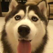 热心市民包师傅