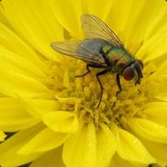 叫你跳大，你特么给老子娇喘？