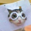 Ricocat
