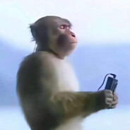 满山猴子我腚最红