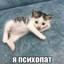 尺. ł. 尸