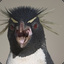 PenguinKING 2SPOOKY4U