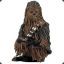 Mr chewbacca