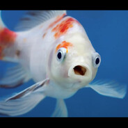 *Glub*