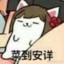 又白给了