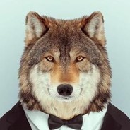 Wolverine - steam id 76561197965842104