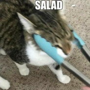 sadan