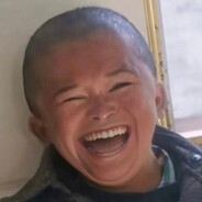 义眼丁真理塘称王