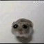 Where&#039;s my sushi?