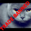 begunOK ⛔TRADE BANNED⛔