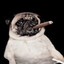 @realStephenHawking⁶⁷