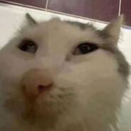 Jeffu avatar