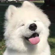 青青草原懒羊羊