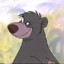 Baloo