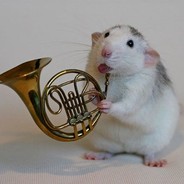 Rat John