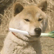 饿了会自己捡垃圾吃