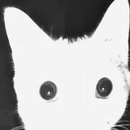 haez - steam id 76561197960503310