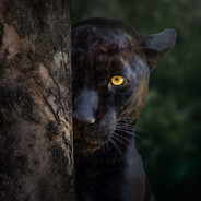 ioX - steam id 76561199133700164