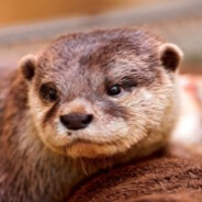 OtterLover
