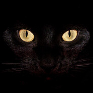 ƒOʀᴇꜱᴛWᴏW!