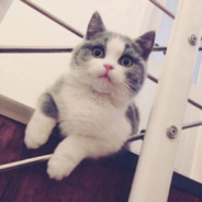 别吵我这有一个