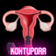 kohtupora66