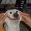 Boop