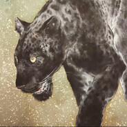 哥们架一下我打个胶先