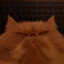 Luffey