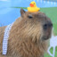 CapybaraBro